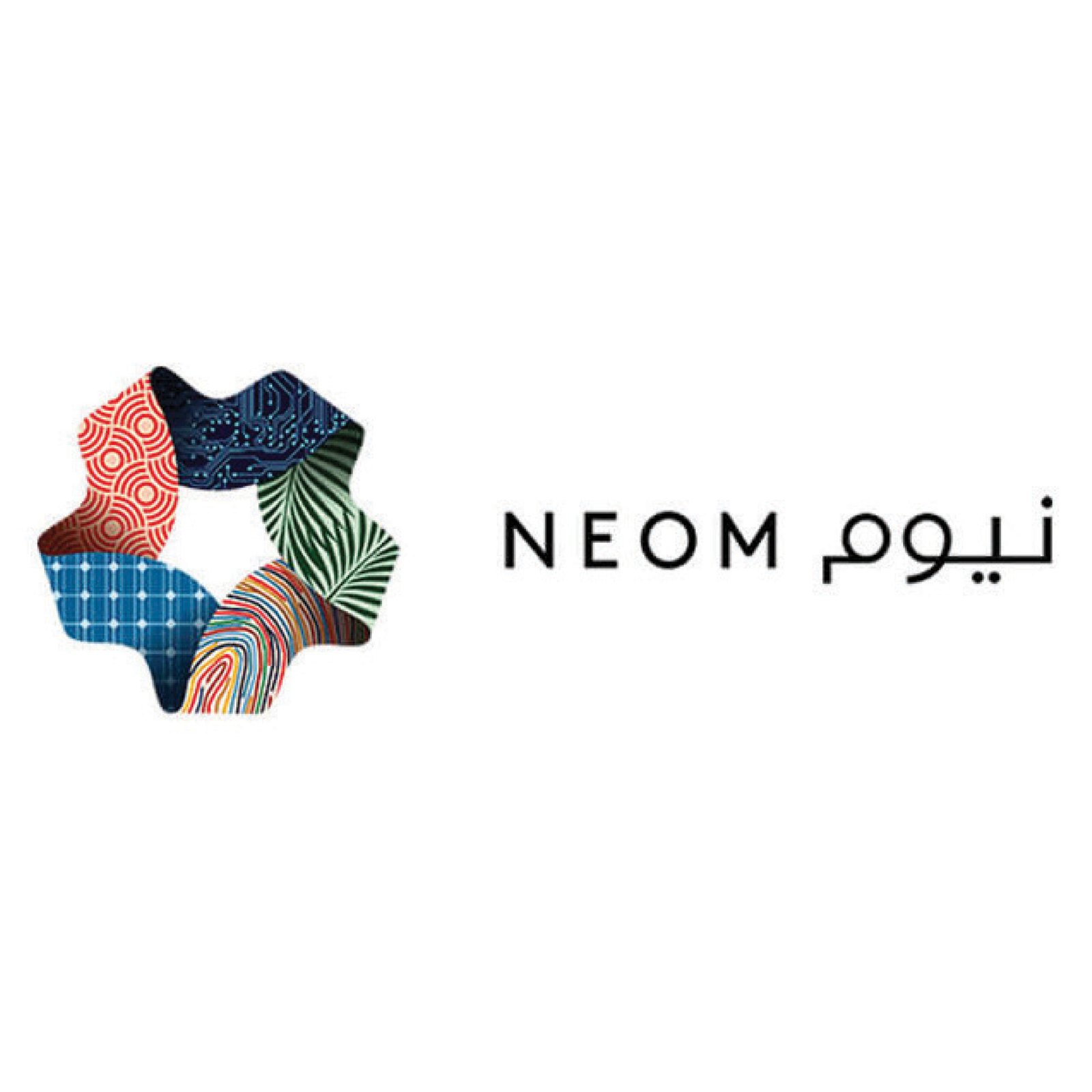 Artboard 4 copy 6@4x-100